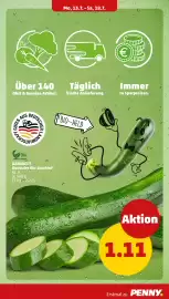 PENNY Prospekt woche 29 Seite 7