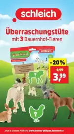 Thomas Philipps Prospekt woche 29 Seite 6