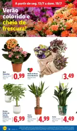 Folheto Lidl semana 29 Página 30