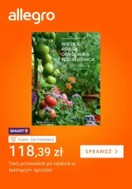 Allegro gazetka tydzień 28 Strona 2