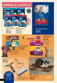 Catálogo Nova Venta Página 100