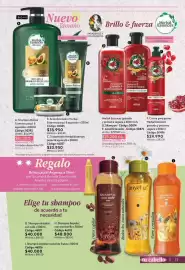Catálogo Nova Venta Página 13
