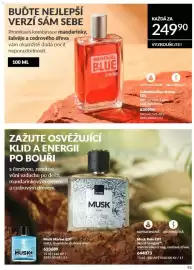 Avon leták Strana 95