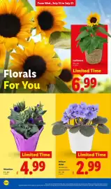 Lidl weekly ad week 29 Page 30