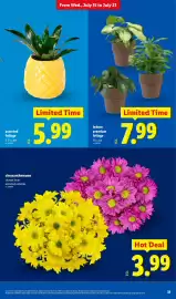 Lidl weekly ad week 29 Page 31