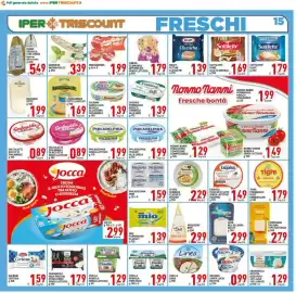 Volantino Iper Triscount Pagina 15