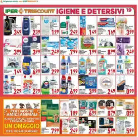 Volantino Iper Triscount Pagina 19
