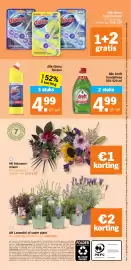 Albert Heijn folder week 29 Pagina 37