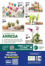 Volantino In'S Mercato Pagina 13