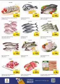 Nesto catalogue Page 15