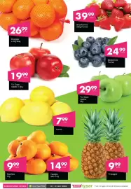 Save catalogue Page 5