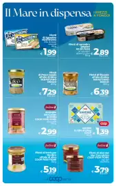 Volantino Ipercoop Radenza Pagina 10