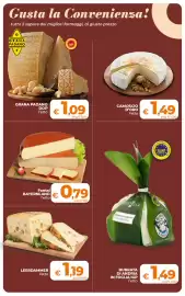 Volantino Ipercoop Radenza Pagina 13