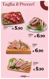 Volantino Ipercoop Radenza Pagina 22