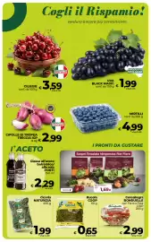 Volantino Ipercoop Radenza Pagina 25