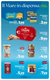 Volantino Ipercoop Radenza Pagina 9