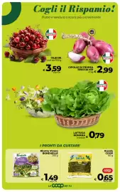 Volantino Coop Radenza Pagina 19