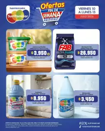 Catálogo Surtifamiliar Página 10