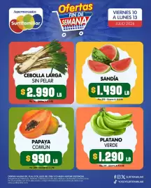 Catálogo Surtifamiliar Página 2