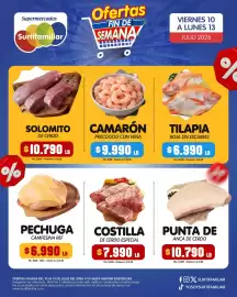 Catálogo Surtifamiliar Página 4