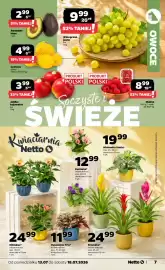 Netto gazetka tydzień 29 Strona 7