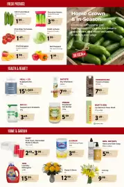 Marche Leo's flyer Page 4