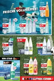 Hol'ab Getränkemarkt Prospekt woche 29 Seite 4