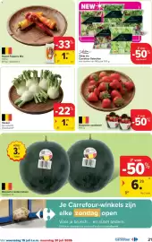 Carrefour folder Pagina 21