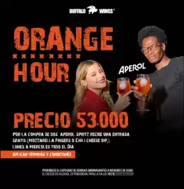 Catálogo Buffalo Wings Página 14