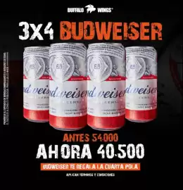 Catálogo Buffalo Wings Página 8
