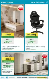 ERLI gazetka tydzień 29 Strona 10