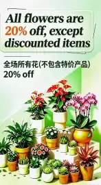 Nations Fresh Foods flyer Page 5