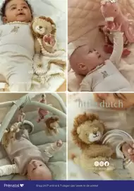 Prenatal folder week 29 Pagina 43