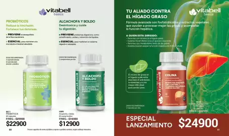 Catálogo Arbell Página 41