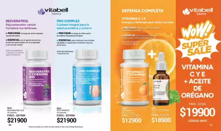 Catálogo Arbell Página 43