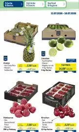 METRO Prospekt woche 29 Seite 8