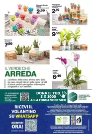 Volantino In'S Mercato Pagina 13