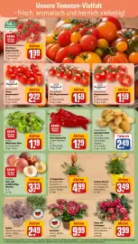 REWE DE tilbudsavis uge 29 Side 5