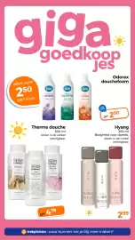 Trekpleister folder Pagina 25