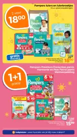 Trekpleister folder Pagina 45