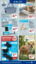 Aldi Süd Prospekt woche 31 Seite 14