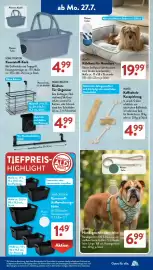 Aldi Süd Prospekt woche 31 Seite 6