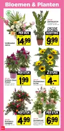 Vomar Voordeelmarkt folder week 29 Pagina 31