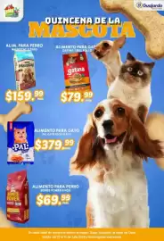 Folleto Guajardo Página 15