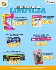 Folleto Guajardo Página 16
