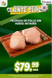 Folleto Guajardo Página 2