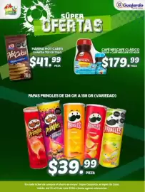 Folleto Guajardo Página 21