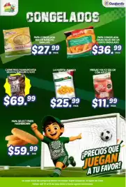 Folleto Guajardo Página 23