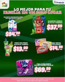 Folleto Guajardo Página 24