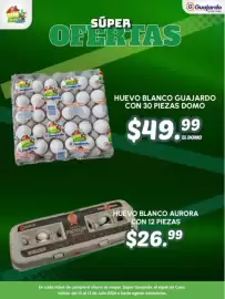 Folleto Guajardo Página 9
